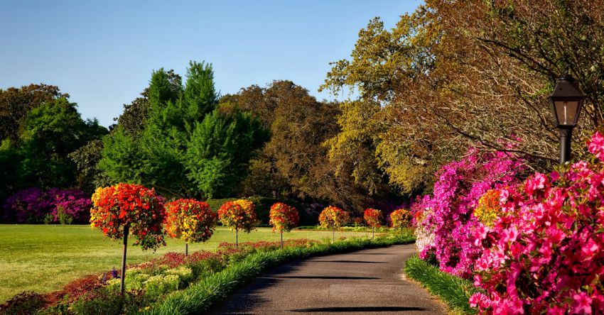 Flower Garden - Gray Concrete Pathway Besides Pink Flower during Day