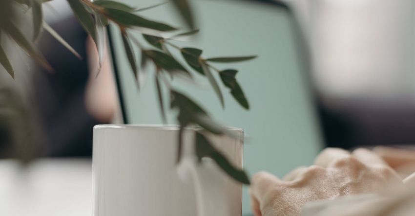 Herbs Indoors - White Ceramic Mug on White Table