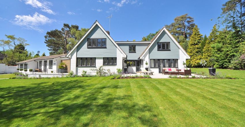 Lawn - White and Gray Wooden House Near Grass Field and Trees