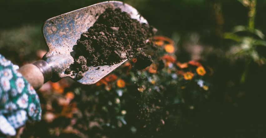 Gardening Tools - Person Digging on Soil Using Garden Shovel